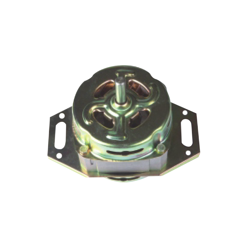 Drum Washing Machine Motor