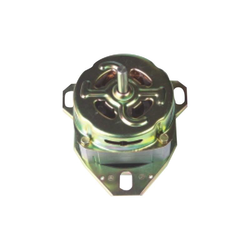 Universal Automatic Washing Machine AC Motor
